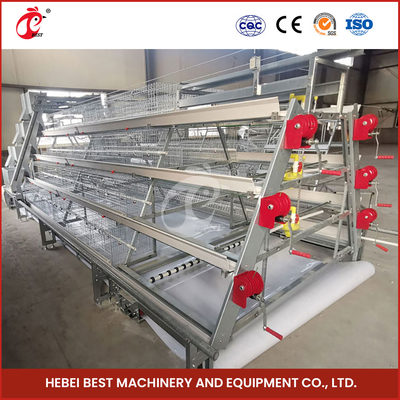 ISO14001 Certified Automatic Broiler Chicken Cage System 25 Years Long Lifespan Star