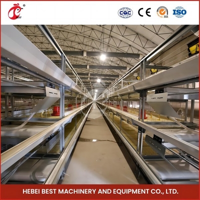High Precision Automatic Broiler Chicken Cage H Type Poultry Broiler Cage Rose