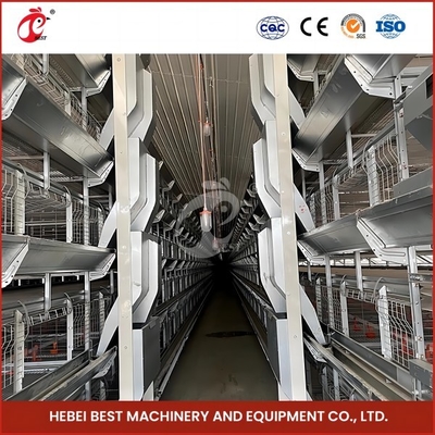 High Precision Automatic Broiler Chicken Cage H Type Poultry Broiler Cage Rose