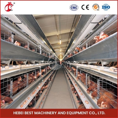 Hot Galvanized 20 Years Lifespan Full Automatic Feeding Manure Cleaning And Egg Collection System Cage Sell Adela