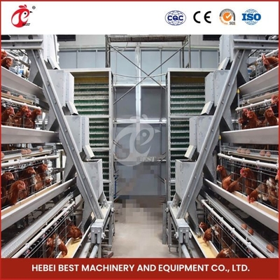 Efficiency Q235 Steel Wire Poultry Farming Cage System With Automatic Feeding And Drinking Sandy