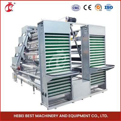 A Type Full Automatic Chicken Cage Equipment For 20,000 Capacity Poultry Farm Sandy