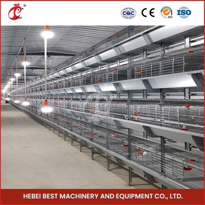 H Type Layer And Broiler Automatic Battery Chicken Cage Equipment House Design Ada