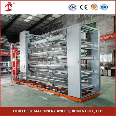 Turnkey Project H Type Automated Layer Cages Equipment For 50000 Birds Farm Star