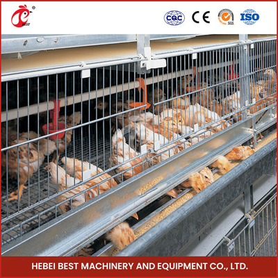 Full Automatic System Pullet Cage With Hot Deep Galvanization H Type Shape Emily