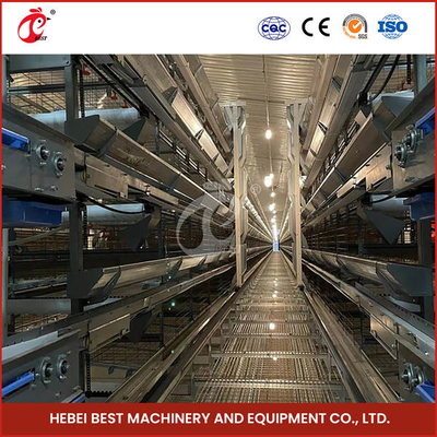 Automatic Poultry Battery Cage System Layer Chicken Steel Cage Rose