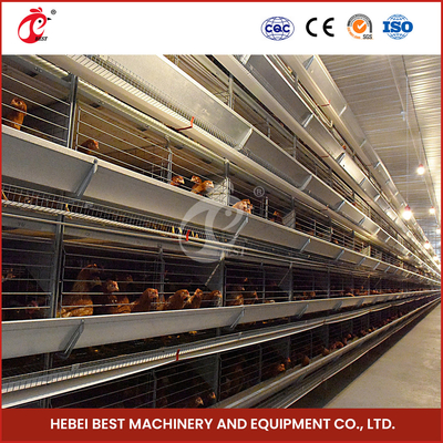 Computer Controlled Raising Automatic Chicken Cage Equipment Star