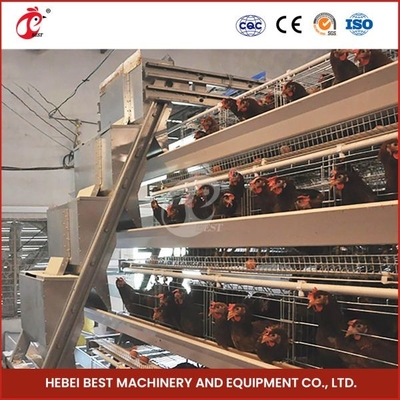 Poultry Farms 20000 Egg Laying Hens A/H Type Automatic Chicken Cage Mia