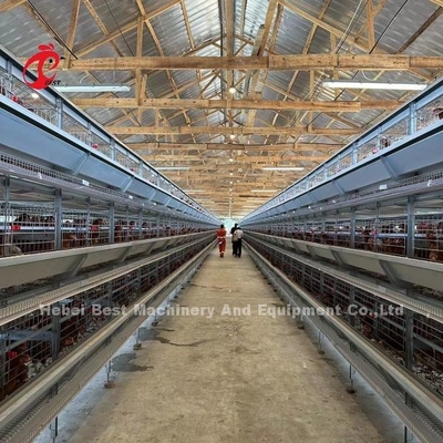 Automatic Layer 160 Birds Chicken Battery Cage For Poultry Farm Emily
