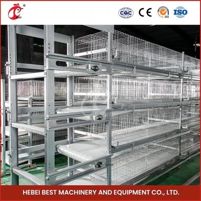 Anti Corrosion Chicken Battery Cage 160 Birds Capacity 100khg Weight Rose