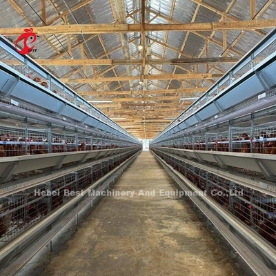 120 Birds Capacity Poultry Battery Cages Automatic A Or H Layer Farm Doris