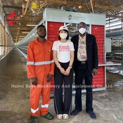 Battery Layer Raising Equipment 200 Birds H Type Automatic Cage System with Video Installation Doris