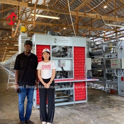 Imported Galvanized Cage System Of Poultry Rearing For Layer H Type Doris