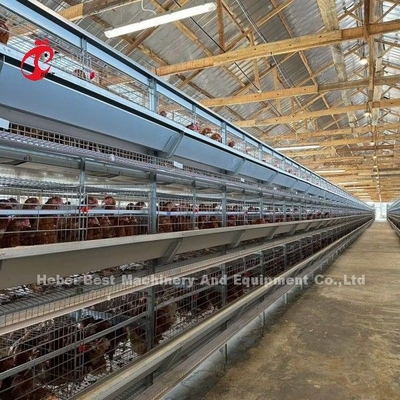 120 Birds Capacity Poultry Battery Cages Automatic A Or H Layer Farm Doris