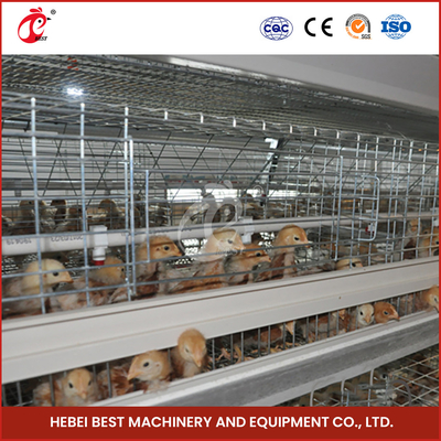 Silver Hot Galvanized Broiler Chicken Cage For Raising Chickens Adela