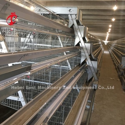 3/4/5 Tiers Battery Cage System for Automated Layer Chicken Poultry Farm Iris