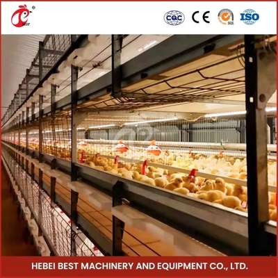 Automatic 4 Tiers H Type Broiler Chicken Cage For Chicken Farm Ada