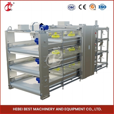 96 Birds H Type Automatic Chicken Chick Cage / A Type Broiler Chicken Cage With Sliding Door Rose