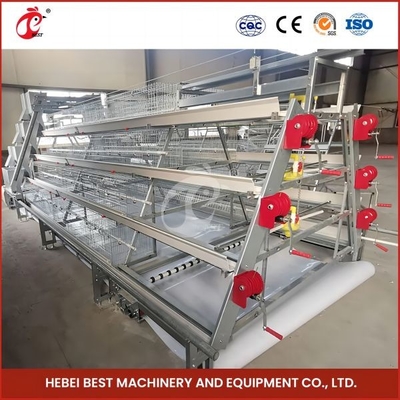 Automatic breeding Automatic Broiler Chicken Cage Rose