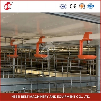 Automatic breeding Automatic Broiler Chicken Cage Rose