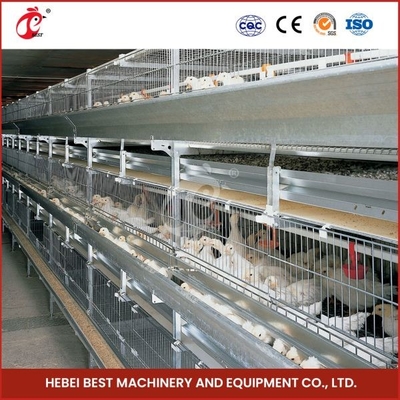 Hot Galvanized Broiler Transport Cage Silver Color Durable Reliable Mia