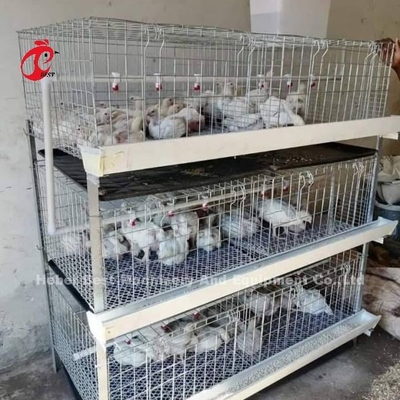 A And H Type Broiler Battery Chicken Cage For 45 Days Broilers Emily