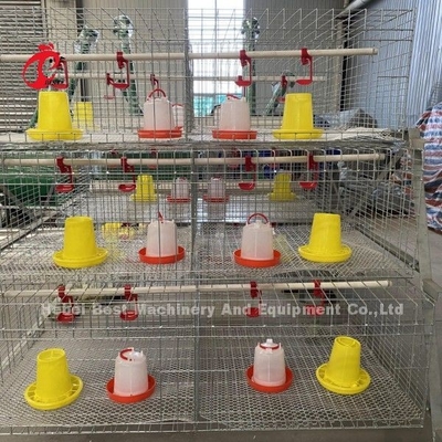 A Or H Type Broiler Chicken Cage For Poultry Farm Doris