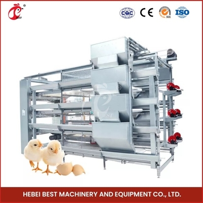 Streamlined Farming Process Poultry Brooder Cage Automatic Feeding And Cleaning Mia