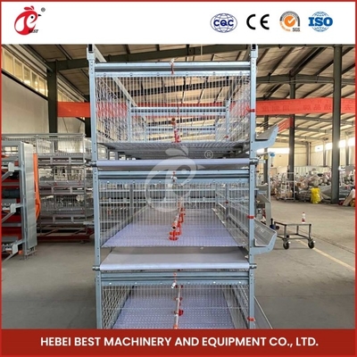 Streamlined Farming Process Poultry Brooder Cage Automatic Feeding And Cleaning Mia