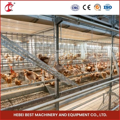 Automated A Type Broiler Chicken Cage Commercial Farmining Chicken Cages for Poultry Farm Emily Wang