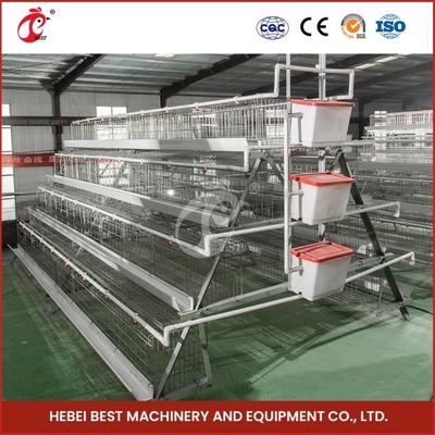 200 Birds Capacity Commercial Farming Chicken Cages With Provided Video Installation Star