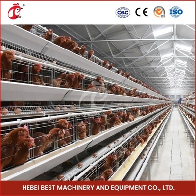 Cage Mesh H Type Broiler Chicken Cage With Ventilation For Healthy Birds Sandy