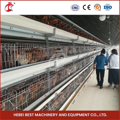 12 Cells A Type Broiler Chicken Cage With 3 Tiers Fast Shipping Mia