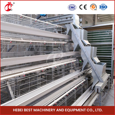 Automatic Poultry Farming Cage System With Automatic Feeder For Nigeria Zambia Ghana Sandy