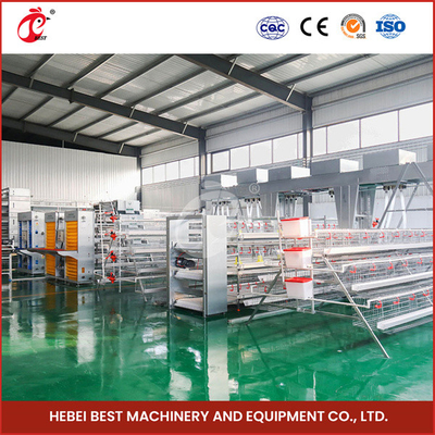 96-200 Birds Per Layer Efficient Poultry Battery Cage System Star