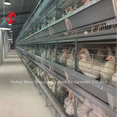 A Type 3.8mm Layer Battery Cage System 80-100 Kg Weight With Feeder Emily Wang