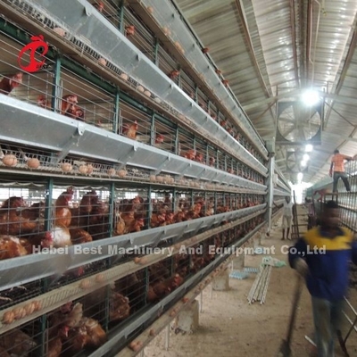 Semi Automatic Layer Cage System 2.2m By 2.4m By 1.95m For Poultry Farm Iris