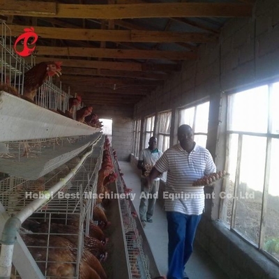 Galvanized Steel Poultry Battery Cage System For Poultry Chicken Farms Using Sandy