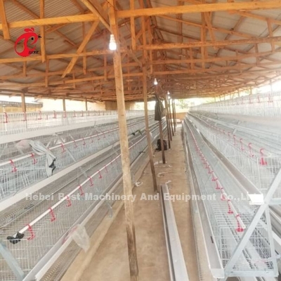 Semi Automatic A Type Battery Cage System With Feeding Cart For Layers Egg Laying Ada