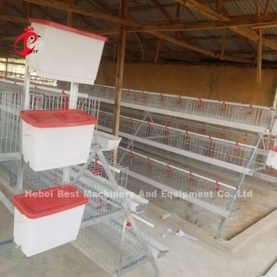 Semi Automatic A Type Battery Cage System With Feeding Cart For Layers Egg Laying Ada