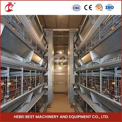 Plastic or Metal Feeder Trough Poultry Farming Cage System for High Rearing Efficiency Mia