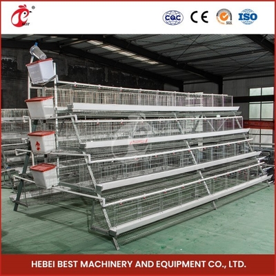 96-200 Birds Per Layer Efficient Poultry Battery Cage System Star