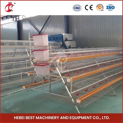 Q235 Grade Steel Wire Layer Farming Cage System With Nipples And Nipples With Cups Star