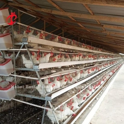 High Rearing Efficiency For Chicken Farm Poultry Farming Cage System Sandy