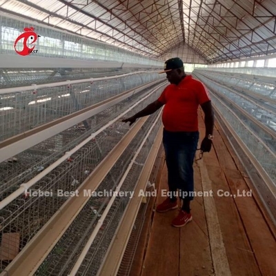 High Rearing Efficiency For Chicken Farm Poultry Farming Cage System Sandy