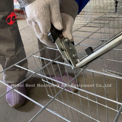 Customized Galvanized Steel A Type Poultry Layer Cage For Point Of Lay Sandy