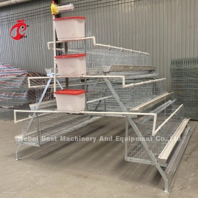 A Type Chicken 128 birds Poultry Chicken Battery Cage System Hot Dipped Galvanized For Nigeria Farm  Doris