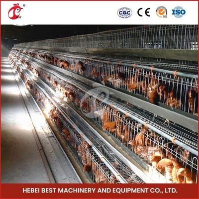 120 Birds Hot Galvanized Battery Cage A Type Layer Chicken Cage Mia