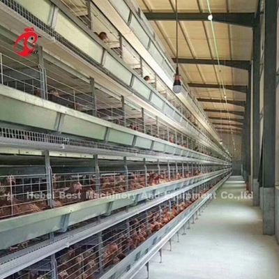 Modular Poultry Cage System For Layer Farms Hot Dip Galvanized Battery Cage Capacity 96-200 Birds Sandy