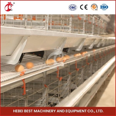 Large Capacity Galvanized Steel Cage System For Poultry Farm Mia